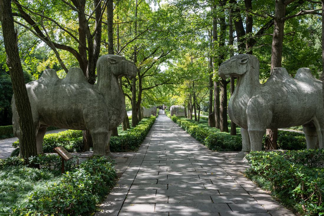 Stone elephants along the Sacred Way of the Ming Xiaoling Mausoleum