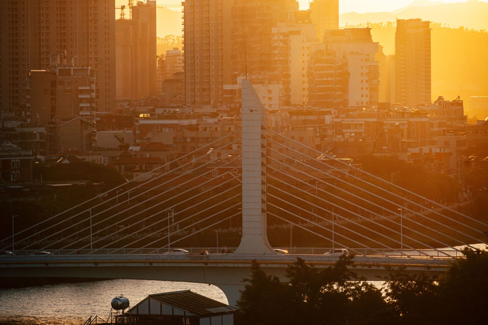A suspension bridge and the Xiamen skyline at sunset on the coast