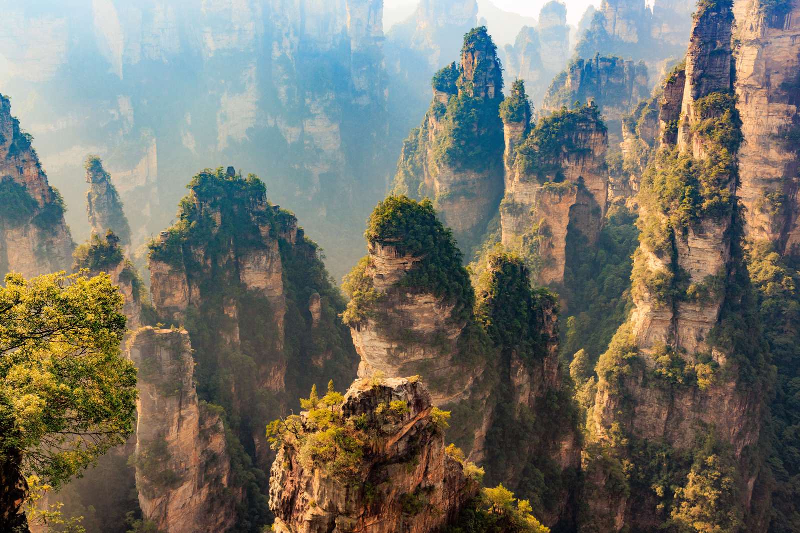 Quartz-sandstone pillars rising out of morning haze in the Wulingyuan core of the Zhangjiajie National Forest Park